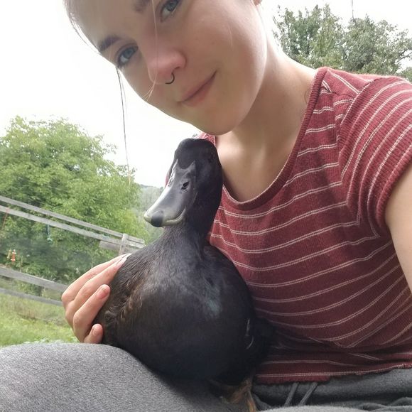 Meet your Posher, Kayleh - Picture 1 of 1